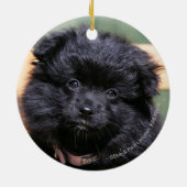 Zwarte Pommeren Puppy Keramisch Ornament (Achterkant)