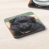 Zwarte Pommeren Puppy Onderzetter (Linkerzijde)