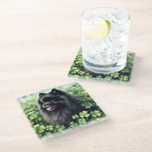 Zwarte Pommeren St Patricks Day Glazen Onderzetter (Schuin)