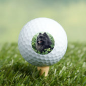 Zwarte Pommeren St Patricks Day Golfballen (Insitu Shirt)