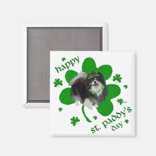 Zwarte Pommeren St Patricks Day Magneet (Voorkant / Achterkant)