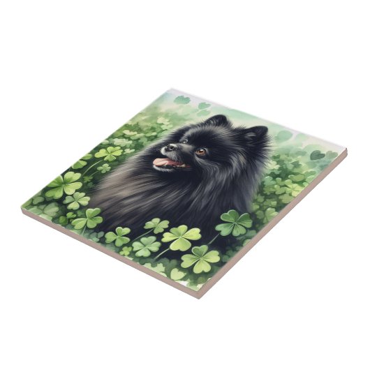 Zwarte Pommeren St Patricks Day Tegeltje (Zijkant)
