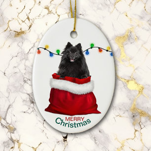 Zwarte pommerse hond in de kerstmis van Gift Bag Keramisch Ornament