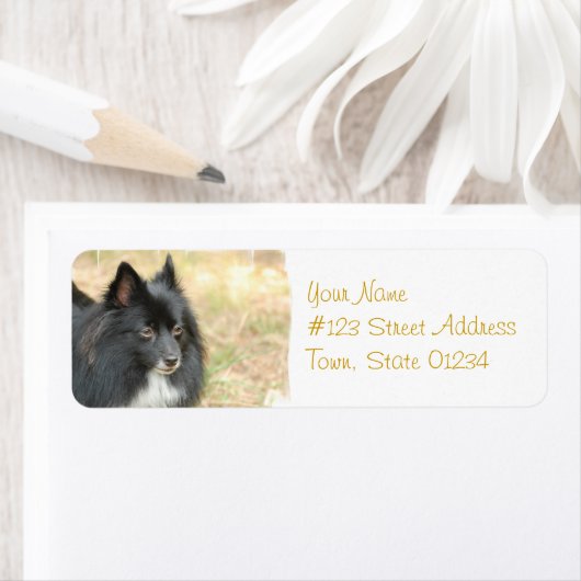 Zwarte Pommerse mailinglabels Etiket (Insitu)