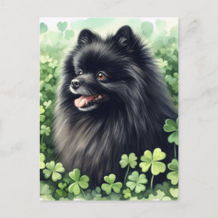 Zwarte Pommerse St Patricks Day Portret Briefkaart