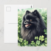 Zwarte Pommerse St Patricks Day Portret Briefkaart (Voorkant / Achterkant)