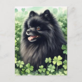 Zwarte Pommerse St Patricks Day Portret Briefkaart (Voorkant)