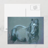 Zwarte Pony Briefkaart (Voorkant / Achterkant)
