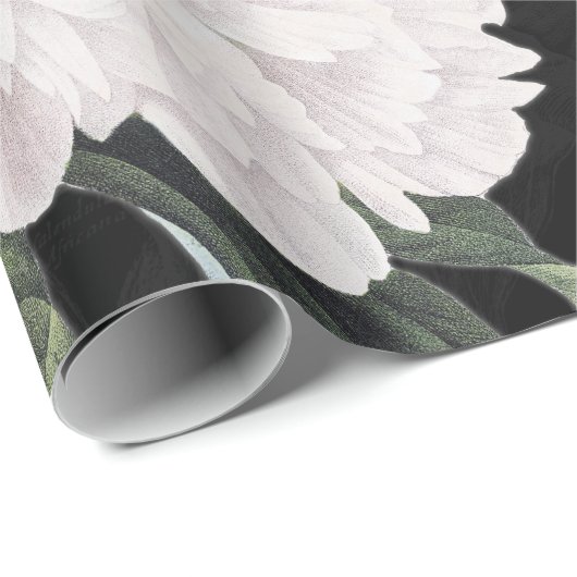 zwarte pony cadeaupapier (Rol Hoek)