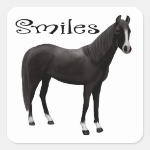 Zwarte Pony Denk aan je Glimlacht Hallo Paard Vierkante Sticker
