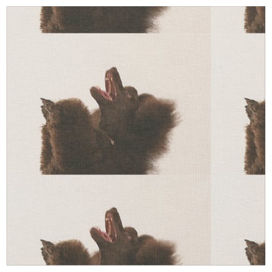 zwarte poodle dansen.png stof (Close Up)