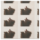 zwarte poodle dansen.png stof (Swatch)