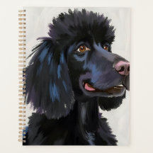 Zwarte Poodle | Honden Watercolor Huisdier Schilde