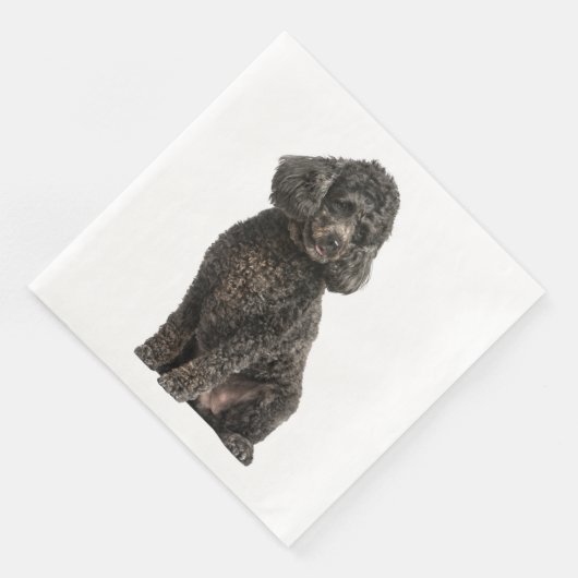 Zwarte Poodle Puppy Hond Huwelijk Feest Verjaardag Servet (Hoek)