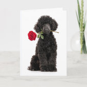 Zwarte Poodle Puppy Valentijn – Zoete Toewijding Kaart (Voorkant)