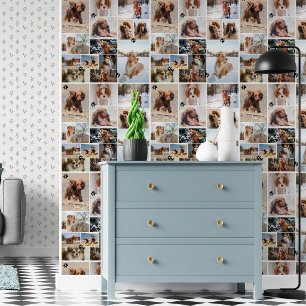Zwarte Pootafdrukken Honden Foto 14 Patronen Behang