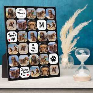 Zwarte Pootafdrukken In Hart Collage Hond Gedenkte Fotoplaat