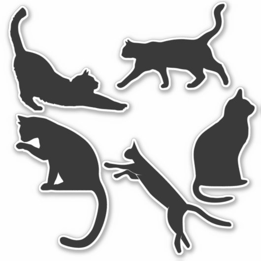 zwarte pootkatten sticker (Voorkant)