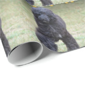 Zwarte Portugese waterhond Cadeaupapier (Rol Hoek)