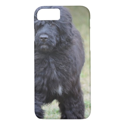 Zwarte Portugese waterhond Case-Mate iPhone Case (Achterkant)
