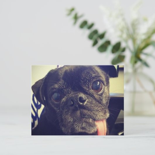 Zwarte Pug Briefkaart (Staand voorkant)