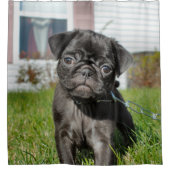 Zwarte pug douchegordijn (Voorkant)