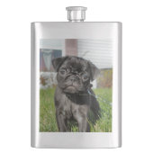 Zwarte pug flacon (Voorkant)