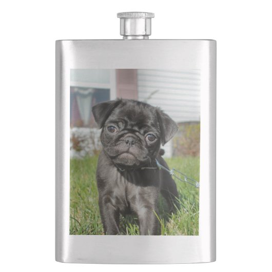 Zwarte pug flacon (Voorkant)