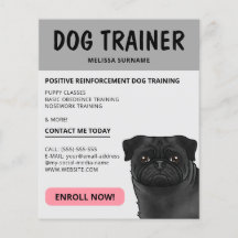 Zwarte Pug Hondentrainer Hond Huisdier Dienst Grij