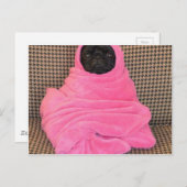 Zwarte Pug in een Roze Deken Briefkaart (Voorkant / Achterkant)