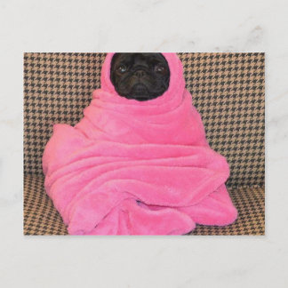 Zwarte Pug in een Roze Deken Briefkaart