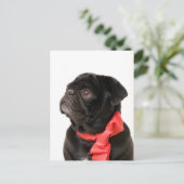 Zwarte pug met rode boog briefkaart (Staand voorkant)