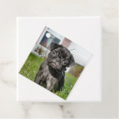 Zwarte pug pup bedankjes labels (In situ)