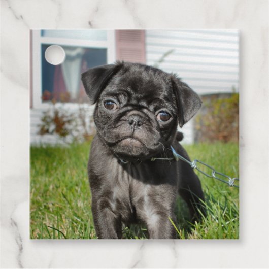 Zwarte pug pup bedankjes labels (Voorkant)