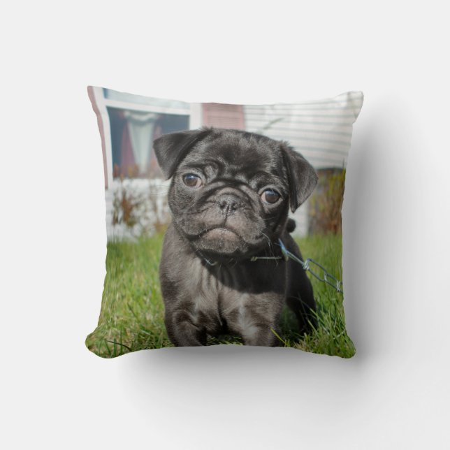 Zwarte pug pup  kussen (Voorkant)
