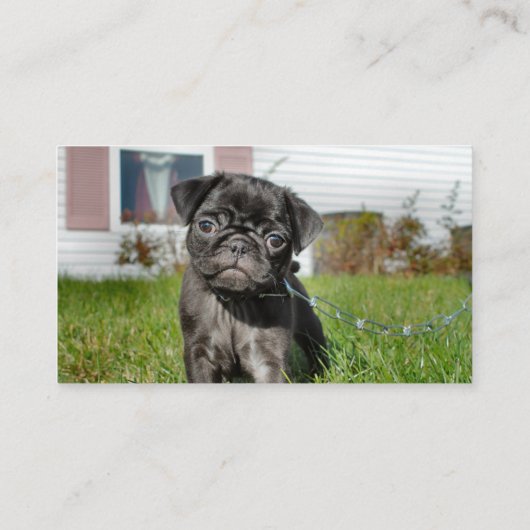 Zwarte pug visitekaartje (Achterkant)