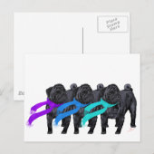 Zwarte Pugs in Sjaals Briefkaart (Voorkant / Achterkant)