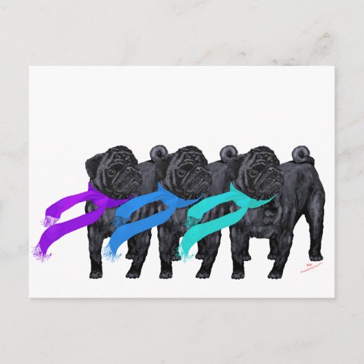 Zwarte Pugs in Sjaals Briefkaart (Voorkant)