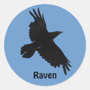 Zwarte Raaf Vogelliefhebber Natuursticker Ronde Sticker