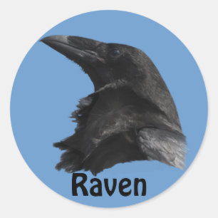 Zwarte Raaf Vogelliefhebber Natuursticker Ronde Sticker