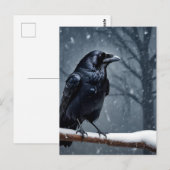 Zwarte Raaf Zwarte Vogel Briefkaart (Voorkant / Achterkant)