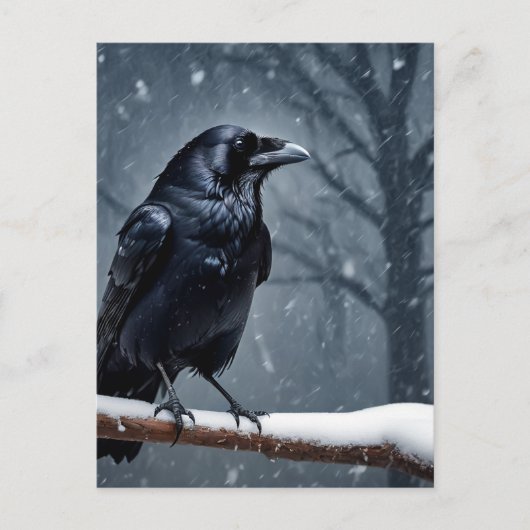 Zwarte Raaf Zwarte Vogel Briefkaart (Voorkant)