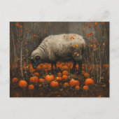 Zwarte Ram Herfst Pompoen Patch Decoupage Briefkaart (Voorkant)