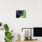 Zwarte rand Collie Dog Art Fotoschildering Poster (Thuiskantoor)