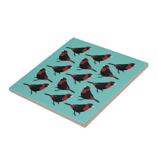 Zwarte Red Crimson-Collared Tanager Songbird Tegeltje (Zijkant)