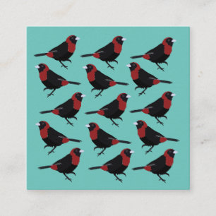 Zwarte Red Crimson-Collared Tanager Songbird Vierkante Visitekaartje