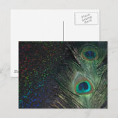 Zwarte regenboogpacock briefkaart (Voorkant / Achterkant)