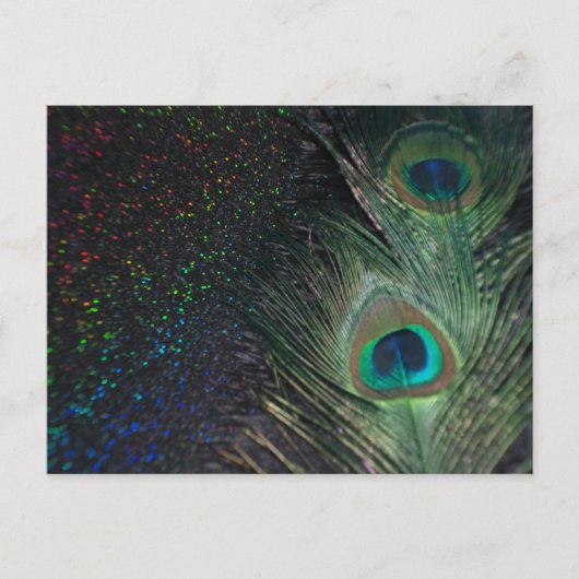 Zwarte regenboogpacock briefkaart (Voorkant)