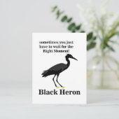 Zwarte Reiger Egrett Vogel Natuur Briefkaart (Staand voorkant)