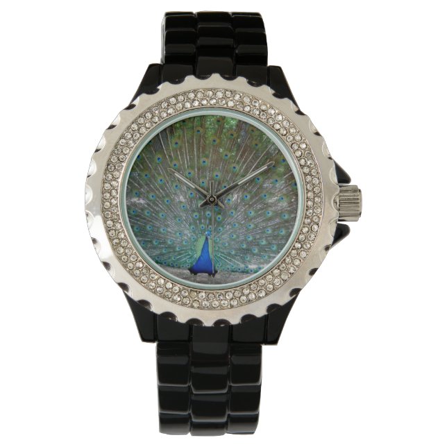 Zwarte Rhinestone opened Winged Peacock voor vrouw Horloge (Voorkant)